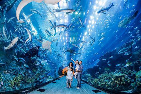 Dubai Aquarium and Underwater Zoo