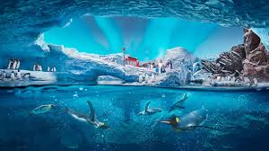 sea world abu dhabi