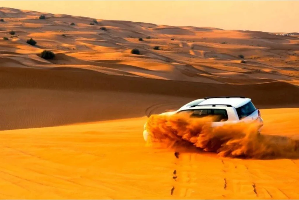 Liwa Safari